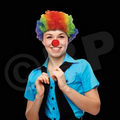 Rainbow Clown Wig